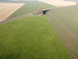 platzfeb02